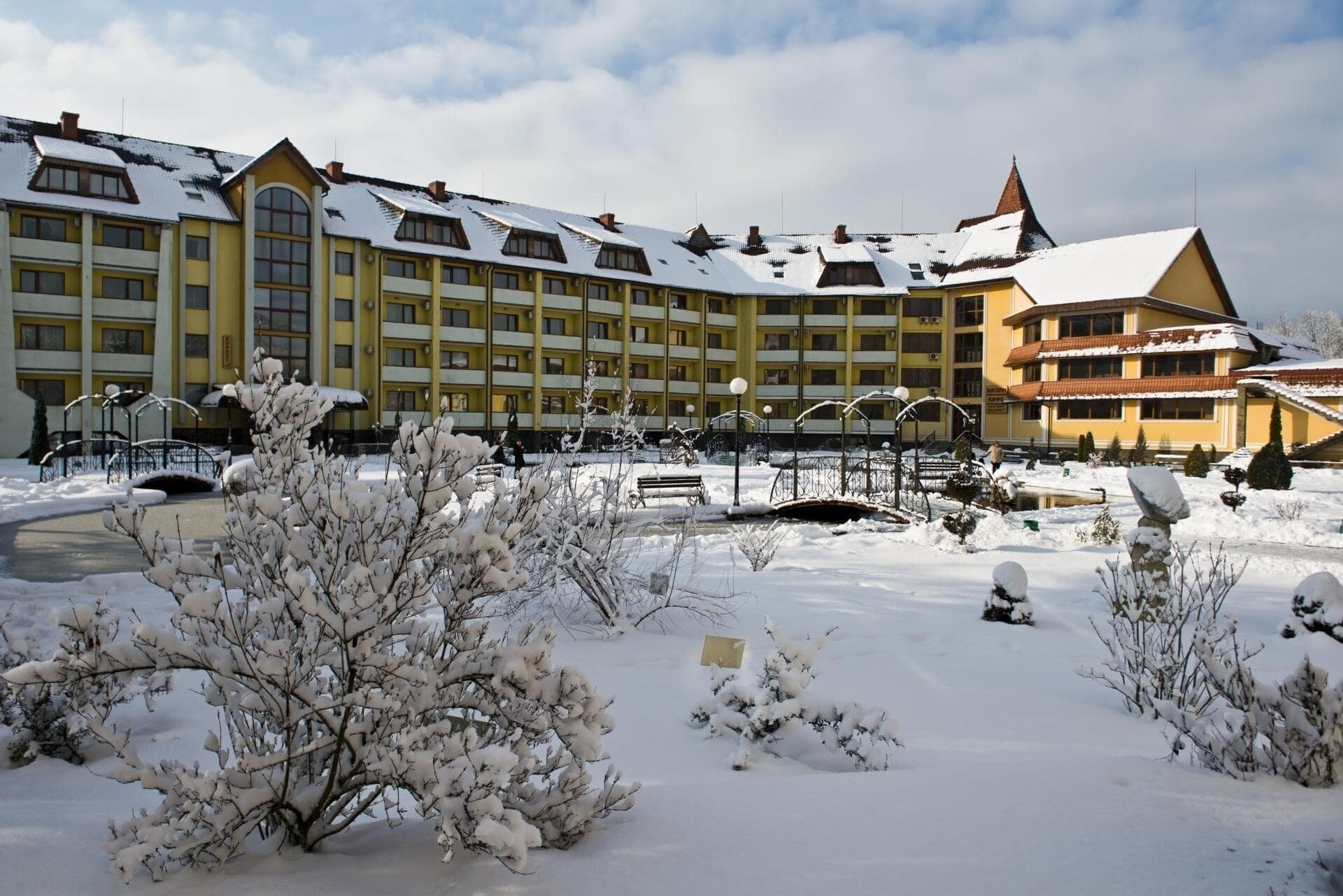 Картинка Квітка Полонини санаторий